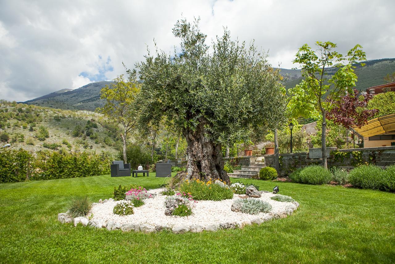 B&B Al Colle Pescosolido Extérieur photo